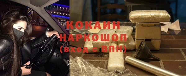 стафф Аркадак