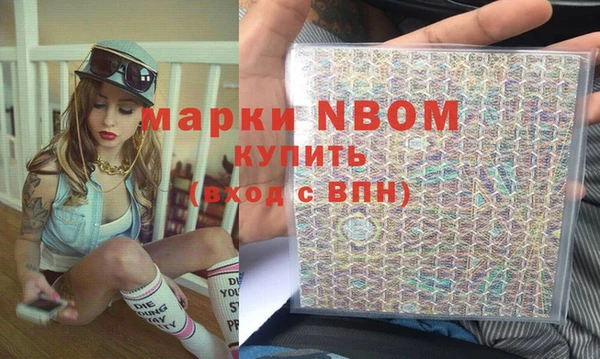 индика Сафоново