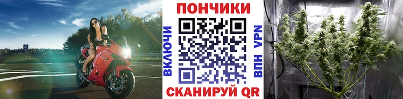 Шишки марихуана индика Подпорожье